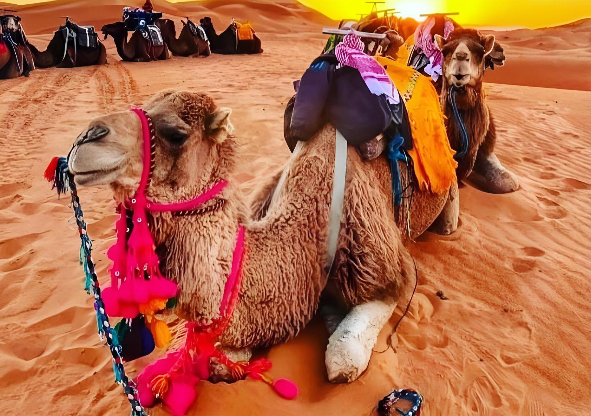 Merzouga Luxurious Tented Exterior foto